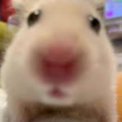 ddatg0212's profile picture. 주로 커버곡, 버츄얼 데뷔 PV 등을 만들고 있습니다 
작업계정 @DdatG_artwork
contact ✉️  rladudgus0212@naver.com
(사담계)

Dm 확인이 많이 느려 작업 신청은 메일로 꼭 부탁드려요!

🍞@PPA_na_X