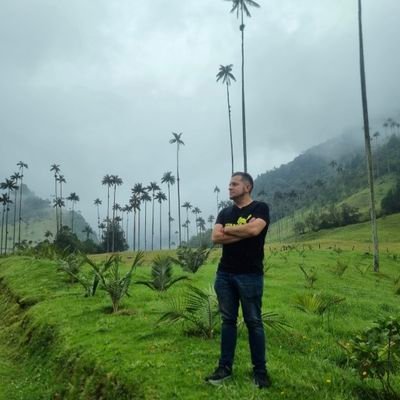 diegoro84438753's profile picture. 