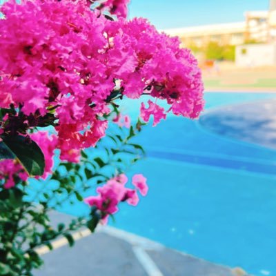 tamako_neiyozai's profile picture. 