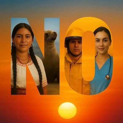 Enladocorrecto's profile picture. 