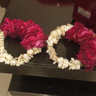 soniabi19295702's profile picture. love yourself because no one can love you as much as yourself, treat yourself and chill.