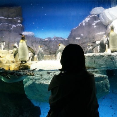 fva3o's profile picture. 自分を繕う為の愚痴置き場。ブラック研究室の修士。