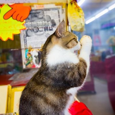 YenYen1498186's profile picture. 宇宙🌍を探検し、人間の🌷の可能性🛰️を広げましょう🌿宇宙🍃と私たちの故郷🌾惑星🧭🌵の探検家🪺