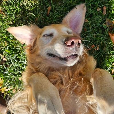 Rowan_J0612's profile picture. The views posted here are my own.