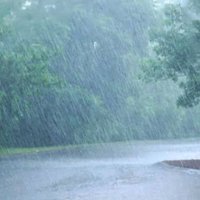 vikas (@vikasy65851619) 's Twitter Profile