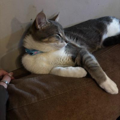 MuruPauli's profile picture. ᡕᠵ᠊ᡃ່࡚ࠢ࠘ ⸝່ࠡࠣ᠊߯᠆ࠣ࠘ᡁࠣ࠘᠊᠊ࠢ࠘𐡏~♡ ☽ insta: paulii.murua