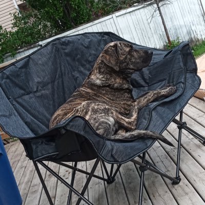 Fallensdk's profile picture. new account because some no-lifer hacked me