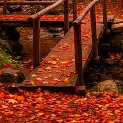 tranquil__path's profile picture. https://t.co/eSbOGfnb07