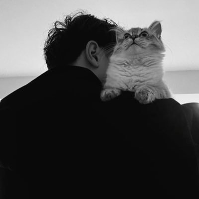 Q_52i's profile picture. 