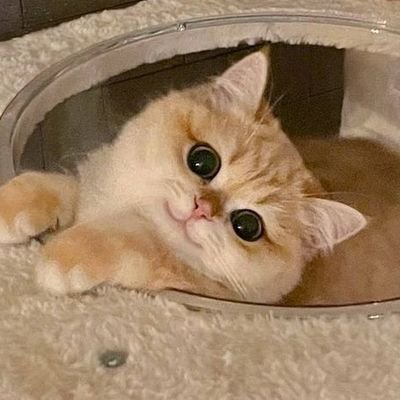 itsjeon1997's profile picture. Finding Happiness