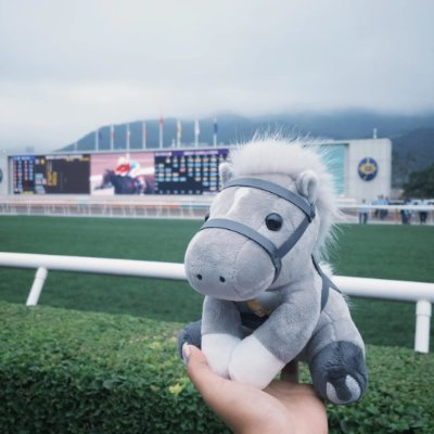 ytbum28452288's profile picture. 競馬は単なるレースではなく、人生の縮図。馬と騎手の信頼関係、競技の中での挑戦と成長🏇
勝敗の先にあるものは、何事にも変えがたい貴重な学びと経験📚
人生のレース、勝つために走り続ける🔥