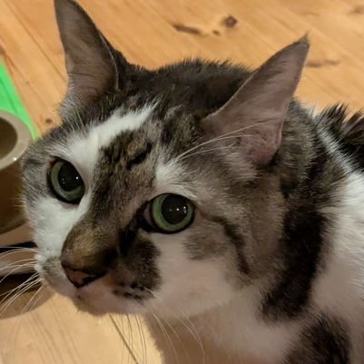 here_now2000's profile picture. 近親姦被害者女性回復のための自助グループ『selfhelpのぞみとあゆみ』(略称SeNA)のサブアカウント//母親から虐待兄から性被害・裁判しました//心身に優しい・楽しい・笑える投稿お願い(2枚以内で)/今・ここを生きる//『selfhelpのぞみとあゆみ』→＠nozomi_ayumi自助会開催情報・HPのURL等