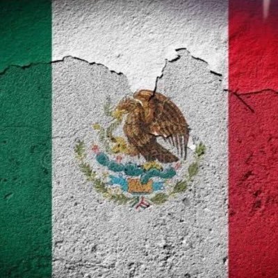 angiestelniky's profile picture. 🚫4t