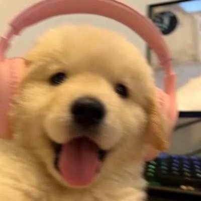 27febBew's profile picture. #BNK48 💜 #LuksornBNK48 💘 #ArleeBNK48 🍋 #BlytheBNK48 👧🏻 #Butterbear 🧸