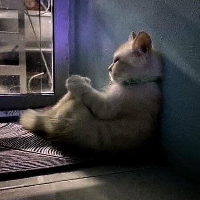 ADaypizza's profile picture. 