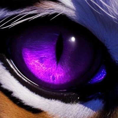 papichiss's profile picture. Lust for Life