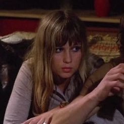 daintybardot's profile picture. 