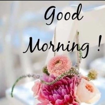 Meharban4ever's profile picture. LION 🦁