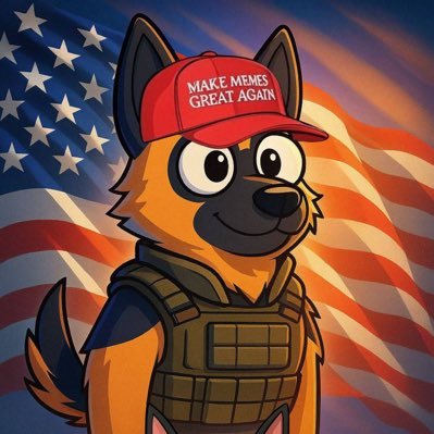 CONANUSD1's profile picture. $CONAN the American war hero now paired with Americas coin USD1 | best friends with $VALOR | FEV2VqW6LwzpUCrdwMEwkcsekB4ttgovbHZbV7yfbonk