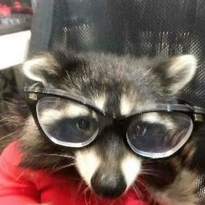 fiiiigures's profile picture. professional cornball, go figures. i follow back. #1 jadedave shipper.

backup: @figuuuures