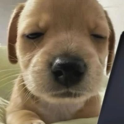 pt_1482's profile picture. 