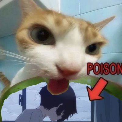 I_vena_105a's profile picture. 성인 | @oO0Eve0Oo 君がいるそれだけで。 |💙🤌