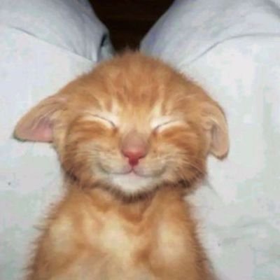 clmusii's profile picture. +20 | He/Them | AroAce | Eng/ID | Lurking for content