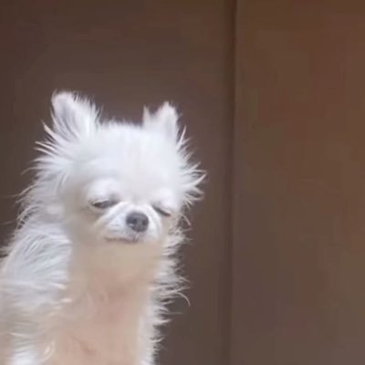 _lixosa's profile picture. cansadona