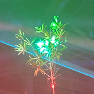 hutaridene's profile picture. 