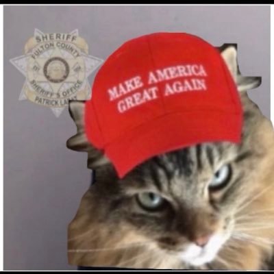 spearsdeni's profile picture. 