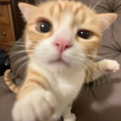 taratip06's profile picture. 