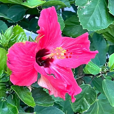 satsukinatume_x's profile picture. 皐月なつめ。連載中： ・「あなたのいない部屋」— 夜の気配と私の独白 ・「ラウンジの灯かげ」— 海辺のラウンジで拾う一期一会の物語 週1目安で更新します。