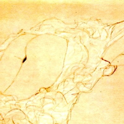 xxsarangdirtyxx's profile picture. 