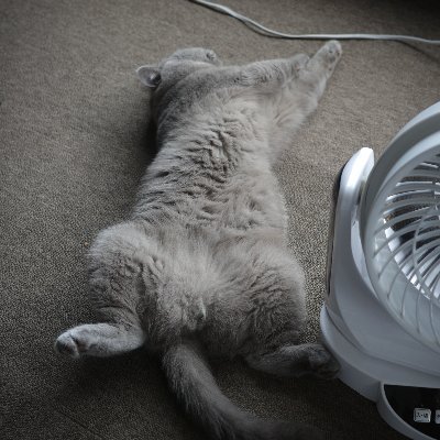 casa_camera03's profile picture. 