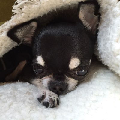 skagns's profile picture. cryptocurrency, IT, AI, web3, airdrop