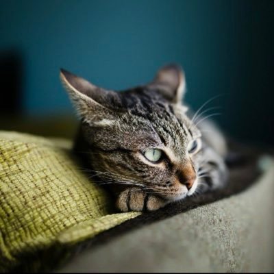 reo_biyoushi's profile picture. 東京でメンズ専門美容師してます valoランクimo3 クリップは全て芋帯です　下のURLから指名でご予約できます