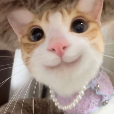 realne_wtf's profile picture. 