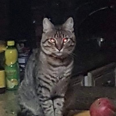 MarCohan3's profile picture. 