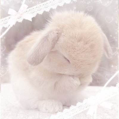 amigurumidagaby's profile picture. AGENDA DE DEZEMBRO ABERTA!! eu amo crochê e tenho uma lojinha! 🌸🦢