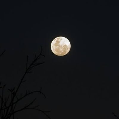 nameofland01's profile picture. 