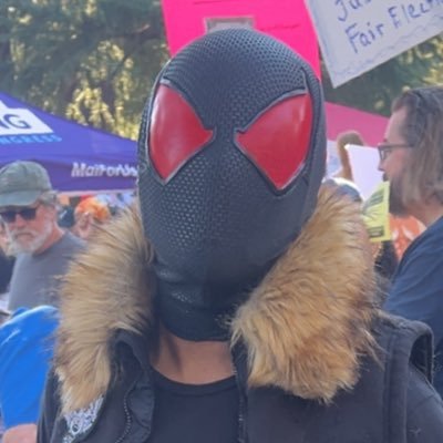 wolfspider24's profile picture. what’s important is not sitting back and letting someone get hurt or die. If you don’t get that then you don’t get the first thing about being Spider-Man. #rlsh
