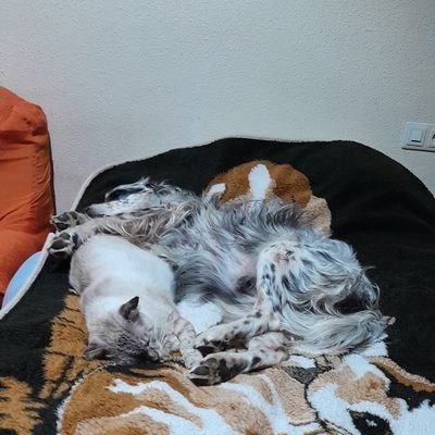 Nora85195067024's profile picture. 