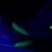 BAYBOSS_23's profile image