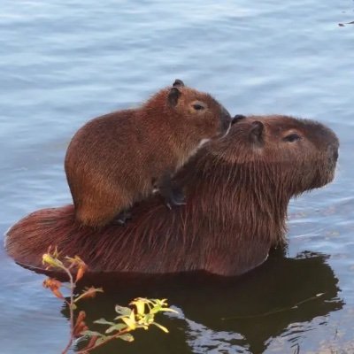 Maladiyatz's profile picture. Thesis on personal investments. Not an investment nor financial advice. Follow at your own risk.