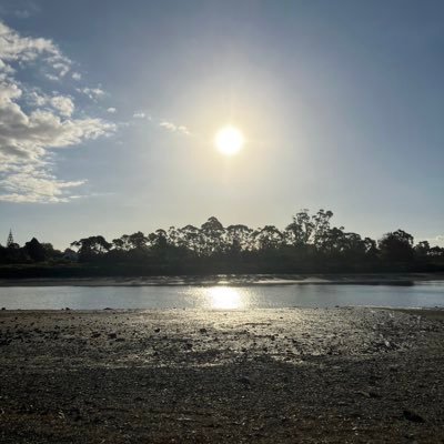 rishtr's profile picture. حساب ثانوي / أقول ما أفكر به