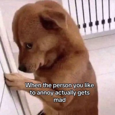 spinach773's profile picture. 