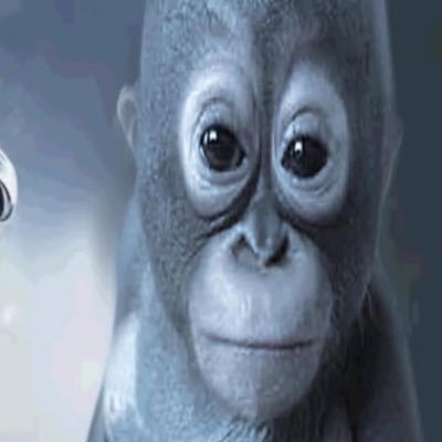 gu4poo's profile picture. 