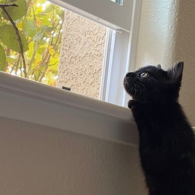 strwbrrymoon02's profile picture. To be gothically inclined