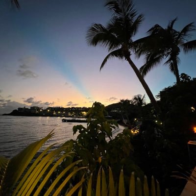 mickc82's profile picture. 