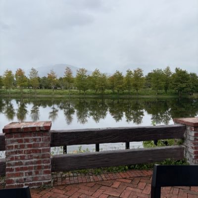 leojclin's profile picture. Tesla, Palantir & HIMS investor.